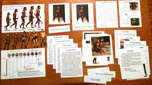 Human Evolution Human Evolution Evolution Theory Of Evolution