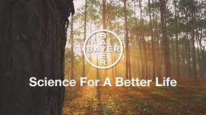 This publication accepts articles relating to a variety of topics!! Bayer Science For A Better Life Youtube