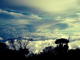 Image result for knowledge as god