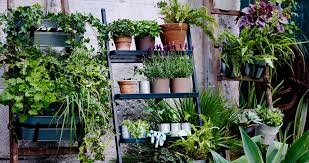 Ikea Urban Farming En Verticaal Tuinieren Ikea Tuinieren Buiten Potten Planten