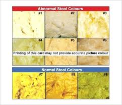 Yellow Brown Stool Newborn Stool Color Chart Icsauklv Info