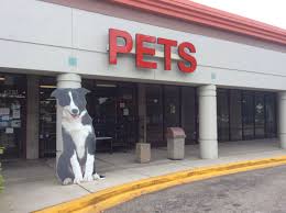 Maybe you would like to learn more about one of these? Family Pet Center Sarasota Fl Pet Supplies