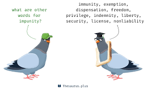 He carried out his evil act with impunity. More 100 Impunity Synonyms Similar Words For Impunity
