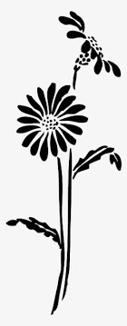 Aesthetic black and white flower png. Black And White Flower Png Download Transparent Black And White Flower Png Images For Free Nicepng