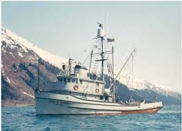 Image result for Mountain Brown 1934 Fleet