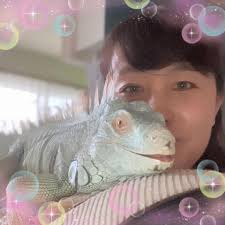 2週間程前まで続いた発情期💦 今年はこの間完全拒食…病院に行くか本気で悩んだ(TT) ある日を境に盛り盛り食欲が戻りホッ♪  でも今から思えば懐かしい発情期のベタベタ❤️ 見苦しいの承知で投稿します🙇‍♀️ 訳あって数日家を空ける日が出そうですが、関東で爬虫類を預け ...