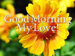 Jul 12, 2021 · it's all part of a project she started in 2019 called the simple sunflower. Good Morning Love Images For Him And Her Boyfriend Girlfriend Huband Wife