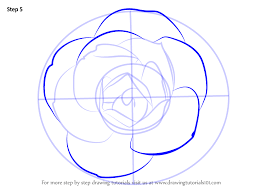 Learn How To Draw A Camellia Flower Camellia Step By Step Drawing Tutorials Camellia Flower Flower Drawing Tutorials Flower Drawing
