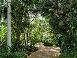Mein ziel ist es, den pflanzenbestand des botanischen gartens, zu jeder jahreszeit, fotografisch zu erfassen und zu dokumentieren. Der Botanische Garten Schonbrunn Pflanzenpalaste Der Kaiser