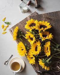 Instagram Keepingwiththetimes In 2021 Sunflower Photography Flower Aesthetic Yellow Coffee