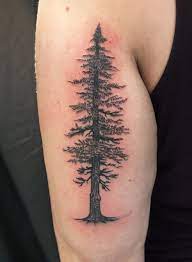 Tree Tattoo Arm Tree Tattoo Back Pine Tree Tattoo