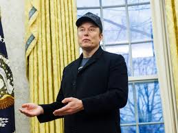 Federal workers free to ignore Elon Musk email ultimatum, US personnel  office says – as it happened | Trump administration | The Guardian