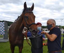 Sea Prince Brings Home The Sticky Toffee Pudding!