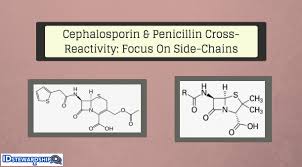 Cross Reactivity Between Cephalosporins And Penicillins A