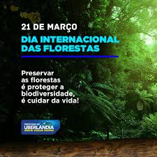 .mundial del medio ambiente, un día mundial de concientización sobre la sostenibilidad creado por el programa de las naciones unidas para el medio ambiente (pnuma) lanzamiento de small world, una colección de cartón con la filosofía hazlo tú mismo para dar a los embalajes una segunda vida. Prefeitura Fara Plantio De Muda Em Homenagem Ao Dia Mundial Das Florestas Portal Da Prefeitura De Uberlandia