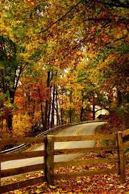Autumnfresh The Road To Home By Kena Bree Autumn Scenes Autumn Scenery Fall Pictures