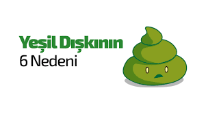 Yesil Diskinin 6 Nedeni Prof Dr Sezai Leventoglu