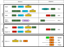 I need a ship for pve or how is this pvp fit? are not good, since we'll have to ask a million. Tir Card And Pyrin Three Domains For An Antimicrobial Triad Cell Death Differentiation