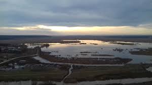 Buburuze, păianjeni, furnici şi un gândac croitor. Parcul Natural Comana