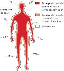 We did not find results for: 01 Regulacion De La Temperatura Corporal Enfermeria