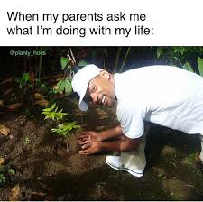 Succulentcity Com Community Of Succulent Cacti Plant Lovers Plant Jokes Gardening Memes Really Funny Memes