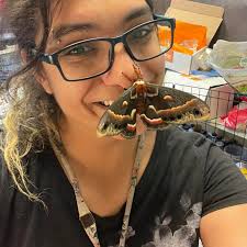 What are these caterpillars