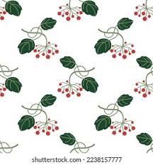 827 Guelder Rose Berries Stock Vectors and Vector Art