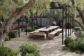 Specimen Trees Are They Worth It Gardenista Pergola Patio Patio Patio Garden
