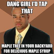 dang girl I'd tap that Maple tree in your backyard for delicious maple  syrup - Successful Black Man - quickmeme