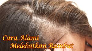 Tips petua cara lebatkan rambut di atas boleh anda cuba jika ingin melebatkan rambut anda. Cara Paling Ampuh Melebatkan Rambut Super Cepat Hanya Dengan Waktu Satu Minggu Youtube