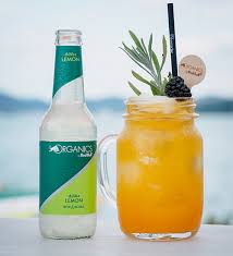 Tequila sunrise, caipirina, pina colada, margarita oder am tag danach eine bloody mary. Organics By Red Bull Red Bull Osterreich