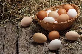 Lalu tambahkan telur ayam kampung, tuang. 3 Alasan Yang Membuat Telur Cocok Untuk Menu Diet Halaman All Kompas Com