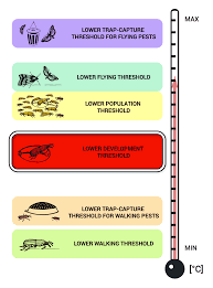The aim of this study is to understand the importance of personnel training in hotel industry. Insects Free Full Text Minimal Thermal Requirements For Development And Activity Of Stored Product And Food Industry Pests Acari Coleoptera Lepidoptera Psocoptera Diptera And Blattodea A Review Html