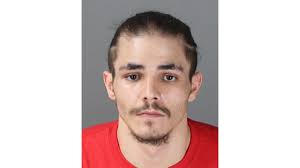 Indiana Man Charged With 5 Different Counts After Vicious Beating In Harper  Woods