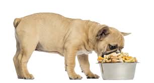This size breed metabolizes food at a high rate and must be fed more frequently than larger breeds, three to four times daily as insufficient calories can cause growth deficiencies and serious. How Much Is Fromm Dog Food Simply For Dogs