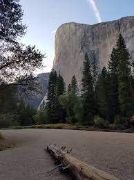 Check spelling or type a new query. View From Cathedral Beach Picture Of Curry Village Yosemite National Park Tripadvisor