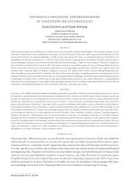 Image result for Dissotis pachytricha