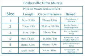 Vari Kennel Sizes Rentinfofb