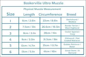 Vari Kennel Sizes Rentinfofb