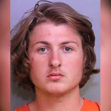 4 teens attack boy at home, run his mother over with a van following  romantic dispute