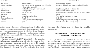 Morphological Differences Between Suaedoideae And Salicornioideae Download Table