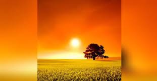 Connor J. Simpson Obituary