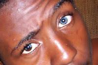 However, it is also a historical truth. Understanding Genetics