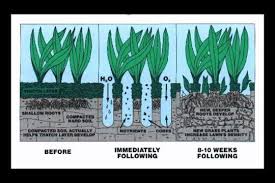 Good Nature Organic Lawn Care Northeast Ohio Home Facebook