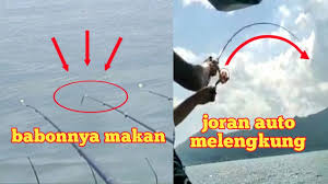 Joran tegek merupakan joran panjang dengan kakuatan yang relatif kuat,namun semua tergantung dari harga,memang harga bisa di gunakan sebagai penentu suatu kualitas joran pancing,maka dari itu,jika menginginkan joran tegek bagus dan kuat. Dinasty Rod Custom Drc Youtube Channel Analytics And Report Powered By Noxinfluencer Mobile