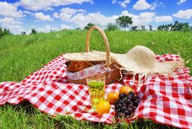 For dutch supermarket company, see category:picnic. Picnics In Paarl Paarl Tourism Center