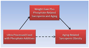 Image result for Body Composition Changes with Aging