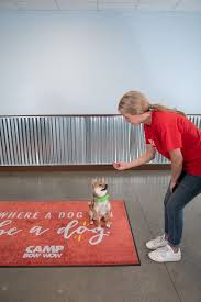 Our goal is to help you and your pup establish clear communication and enjoy working together. Basic Obedience Training Class Camp Bow Wow Rockaway 11 April 2021