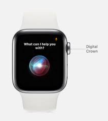 On the data, talk and text activity page, choose a billing period at the top. Use Siri On All Your Apple Devices Apple Support