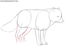 Learn how to draw a cute arctic fox! How To Draw An Arctic Fox Easy Drawing Art